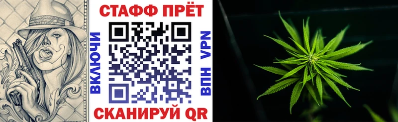 МЕФ Ногинск