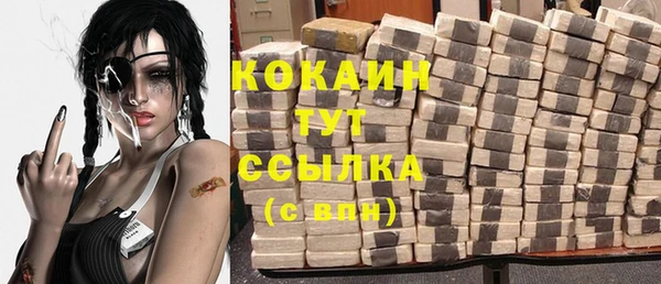 ПСИЛОЦИБИНОВЫЕ ГРИБЫ Вяземский