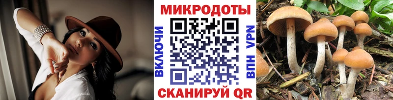 Галлюциногенные грибы мухоморы Ногинск