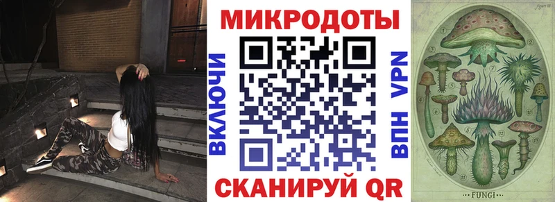 сколько стоит  Ногинск  Псилоцибиновые грибы Psilocybine cubensis 